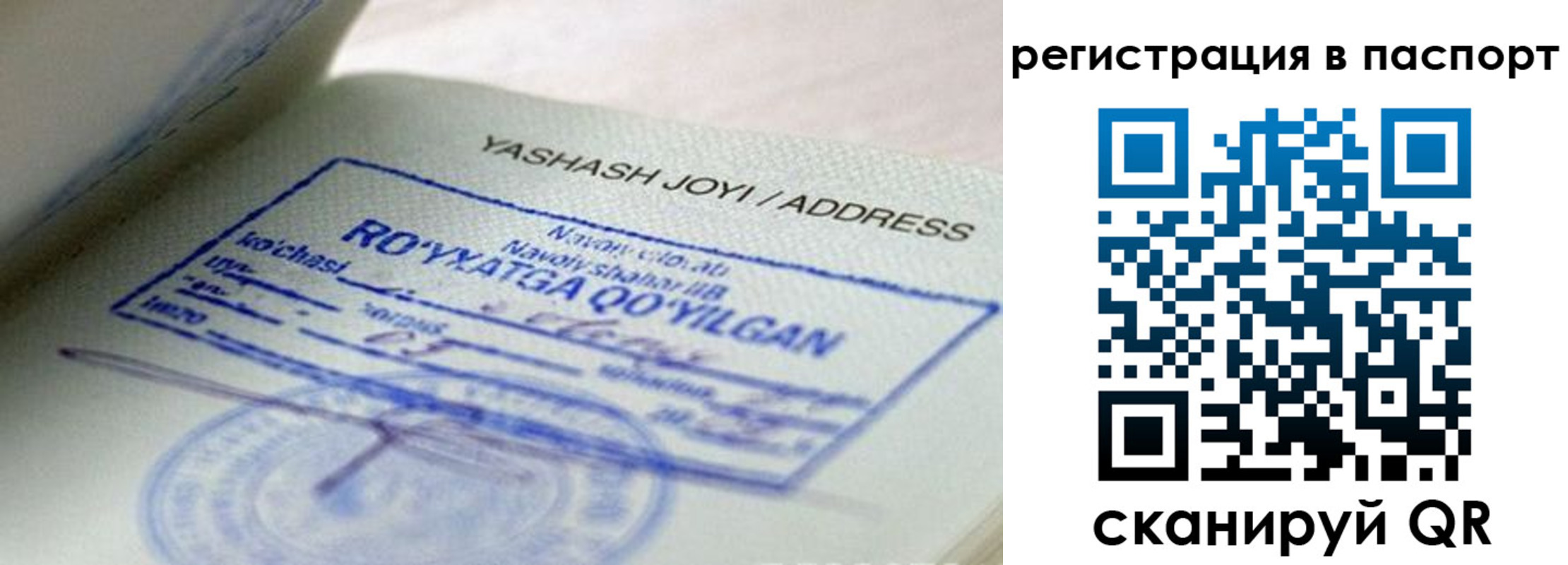 временная регистрация надежно в Ершове